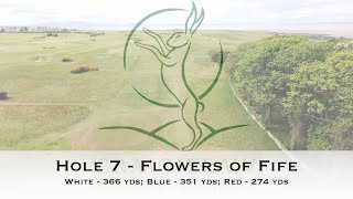 Craigielaw Golf Club  Hole 7  Fly By [upl. by Neeli541]