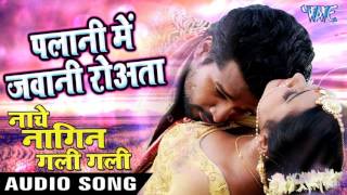 Indu Sonali का नया हिट गाना  Ritesh Pandey  Palani Mein Jawani  Nache Nagin  Bhojpuri Song [upl. by Fanning]