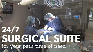 Mountainside Animal Hospitals Surgery Suite [upl. by Nonez]