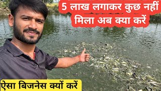 Fastest growing fish for farming in India ।। Indian fish farm ।। pangas fish farming ।machli palan। [upl. by Nally]