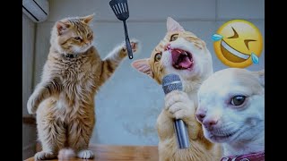 The Funniest Videos About Dogs and Cats  Best Selected Funny Animal Videos 2024🥰 [upl. by Eeneg]