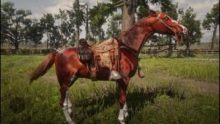 The Most Beautiful horses in RDR2 online perlino at 245 [upl. by Iruahs]