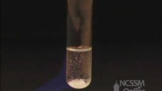 Double Displacement Reaction of Ammonium Chloride and Sodium Hydroxide [upl. by Brocky]