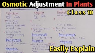 Osmotic Adjustment In Plants  Hydrophytes  Xerophytes  Halophytes  UrduHindi [upl. by Lecram790]