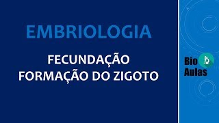 Fecundação Formação do Zigoto Embriologia Humana  Bio Aulas [upl. by Nirtak]