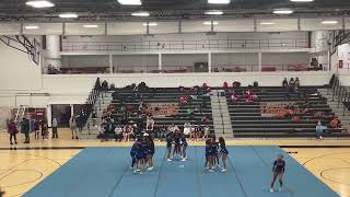 DCSAA Cheerleading Championships 2024 [upl. by Naejamron]