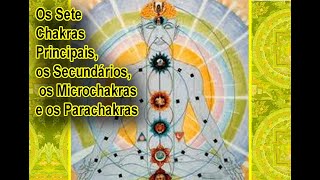 Os Sete Chakras Principais os Secundários os Microchakras e os Parachakras [upl. by Akenat]