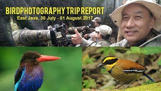 Bird Photography Trip Report  5 Birds in 2 Days [upl. by Wavell]