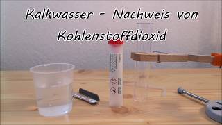 Nachweis von Kohlenstoffdioxid mit Kalkwasser [upl. by Annaiviv]