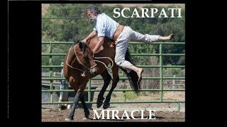 Amazing Old Horseman starting an 8 years old wild Mustang  Scarpati Horsemanship [upl. by Ehtylb]