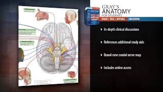 Grays Anatomy for Students 3rd Edition [upl. by Moretta]