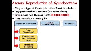 Plant Reproduction  Reproduction of Prokaryotes [upl. by Nwahsed]