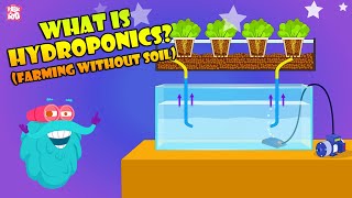 How To Grow Plants Without Soil  Hydroponic Farming At Home  The Dr Binocs Show  Peekaboo Kidz [upl. by Ruth]