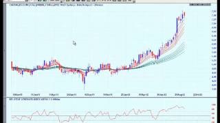 How to use the charting package Incredible Charts [upl. by Sheridan776]