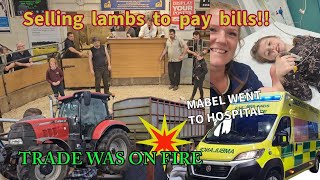 Trade was on FIRE at Bentham auctionNow BILLS topayTrip in an ambulance benthamauctionmart6088 [upl. by Innavoig587]