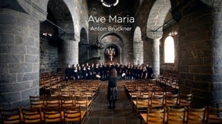 Schola Cantorum  Ave Maria Bruckner [upl. by Toy]