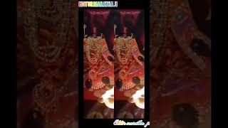 🌹🌹Jai bhadrakali ke mah aarti 🥀🥀 like comment 💗💗 shere subscribe 💘💘💘 [upl. by Groh]