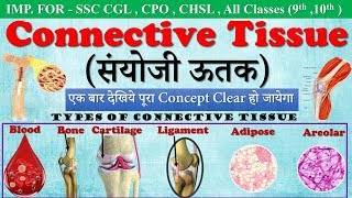 Connective tissue in hindi संयोजी ऊतक  Types of Connective Tissue  ssc campusmp4 [upl. by Leruj]