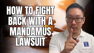 USCIS Processing Delays How to Fight Back with a Mandamus Lawsuit [upl. by Vtarj42]