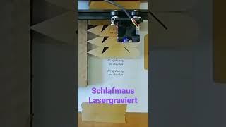 Schleifmäuse bekommen eine Laser Gravur 😎 [upl. by Eelame]