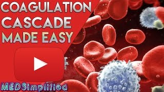 Coagulation Cascade SIMPLEST EXPLANATION  The Extrinsic and Intrinsic Pathway of HEMOSTASIS [upl. by Norat]