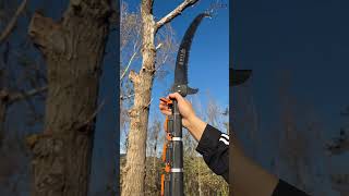 You can stand down from this argestable saw and cut down a tall tree shortvideo [upl. by Ticknor]