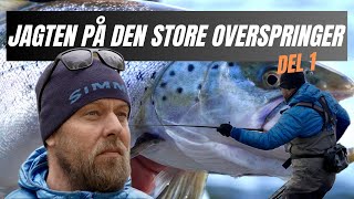 Jagten på den store overspringer Del 1 [upl. by Ayatal331]