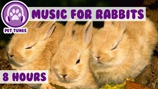 Over 8 HOURS of Relaxing Music for Rabbits Natural Stress and Anxiety Relief for Rabbits [upl. by Enilrahc]