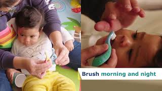 How to brush with your baby 0  18 months old [upl. by Kcered832]