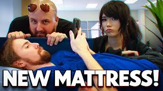 We Took Asmongold Mattress Shopping [upl. by Aroled953]