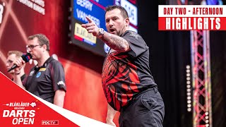 BIG FISH GALORE 🐠  Day Two Afternoon Highlights  2024 Belgian Darts Open [upl. by Aidekal623]