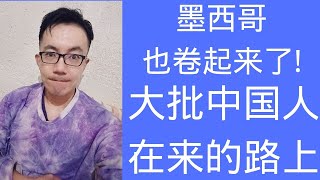 墨西哥也卷起来了 大批中国人在来的路上 [upl. by Radke]