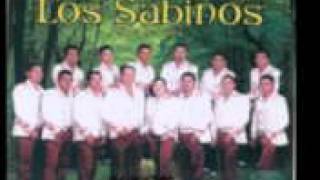 La Santanera Banda los Sabinos de Sola de Vega [upl. by Fritzie]