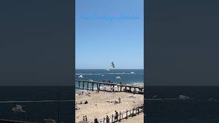 Port Noarlunga Beach Adelaide beach travel australia inspiration fun friends shorts [upl. by Linoel]