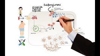 Pharmacology  DRUGS FOR DIABETES MADE EASY [upl. by Bohlin]