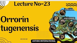 Orrorin tugenensis Pre hominid group [upl. by Yl]