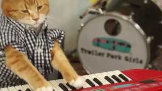 KEYBOARD CAT 96 TEARS [upl. by Josephina]