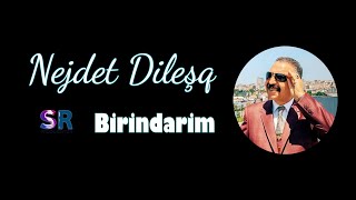 Nejdet Dileşq  Birindarim Official Music Video [upl. by Weidar75]