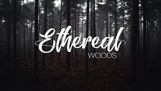 Ethereal Woodlands  Cinematic Film [upl. by Haidabo]