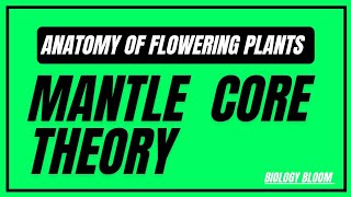 Mantle Core Theory  Anatomy of Flowering Plants  Biology Bloom [upl. by Esyned494]