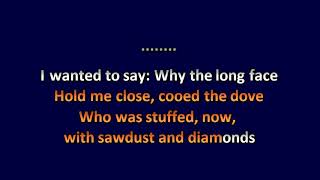 Joanna Newsom  Sawdust amp Diamonds  Karaoke Instrumental Lyrics  ObsKure [upl. by Drain]