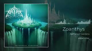 Zoanthys  Aethereal Gardens Instrumental 2024 [upl. by Marsland90]