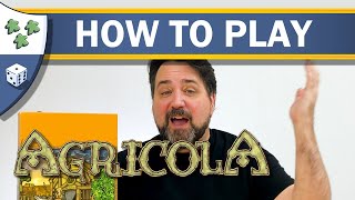 How to Play Agricola [upl. by Mcculloch525]