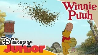 Kleine Abenteuer mit Winnie Puuh  Die Bienen  Disney Junior [upl. by Chatterjee]