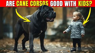 Are Cane Corsos Good With Kids dog pets [upl. by Loeb]