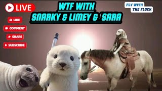 WTF WITH SNARKY amp LIMEY amp SARA [upl. by Legnaros968]