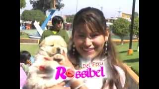 MIX ROSIBEL DEL PERU ★Primicias 20122013 Ful HD ★ [upl. by Maze]