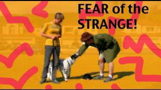 Barking Episode 4 Barking at Strangers Dog training [upl. by Nonez]