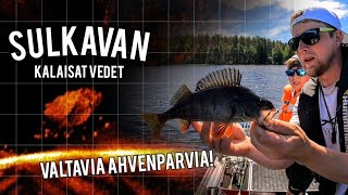 AHVEN MUIKKUPARVIEN PERÄSSÄ  PARIN TUNNIN TIEDUSTELURETKI [upl. by Nylacaj116]