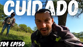 TODO CUIDADO É POUCO NESSE LUGAR Mudança de Planos América do Sul T04 EP150 [upl. by Llevram481]